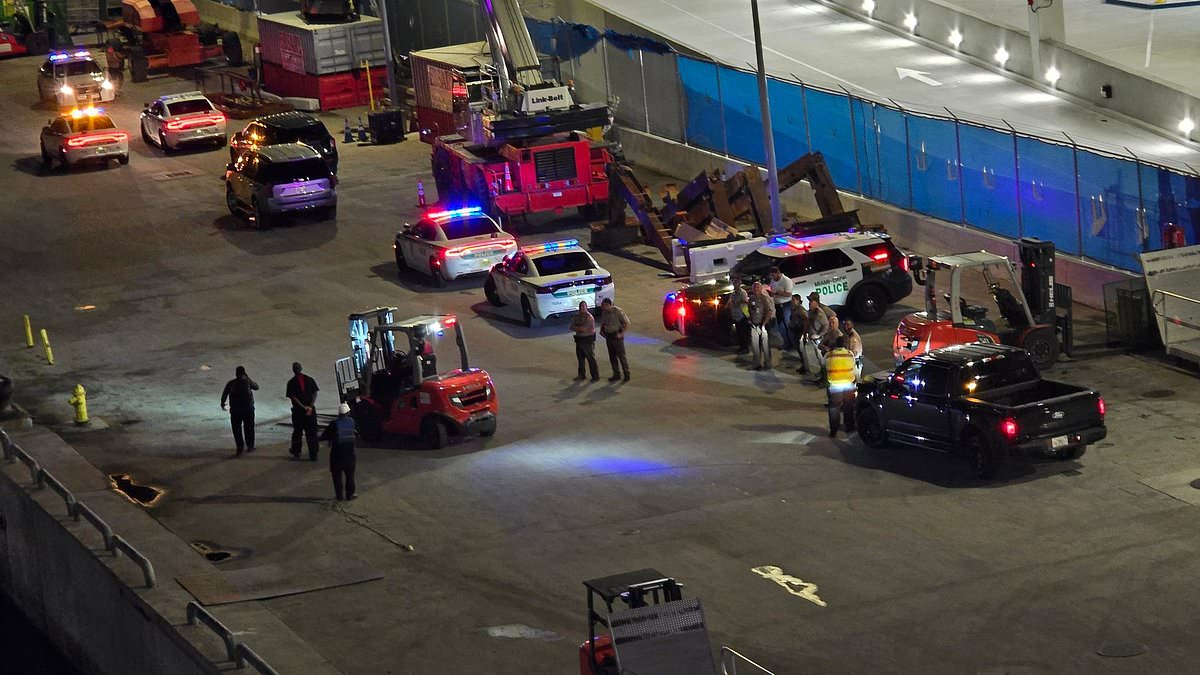 Wonder of the Seas ship fight forces vessel to return to Miami