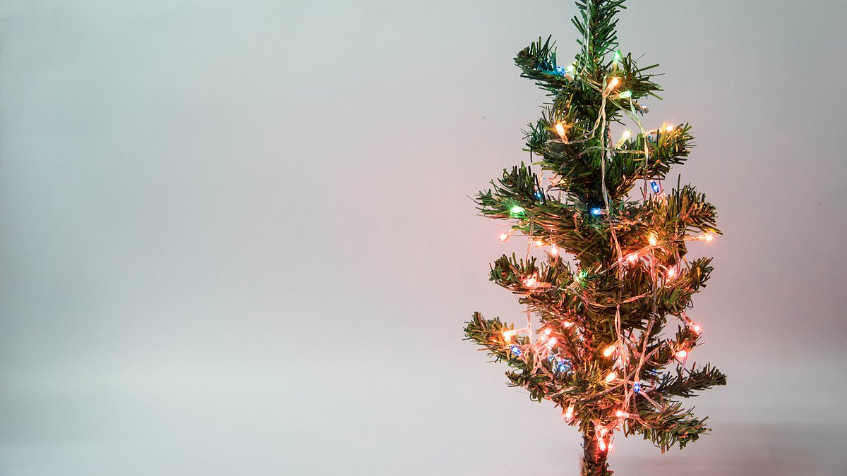 Worker sues for racial harassment over a Christmas tree