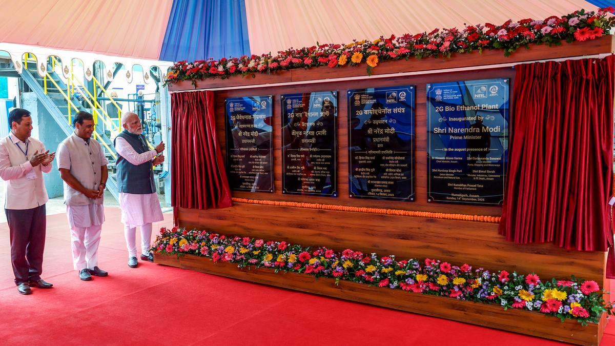 World's largest bamboo-based ethanol plant getting pick of the north east's grass