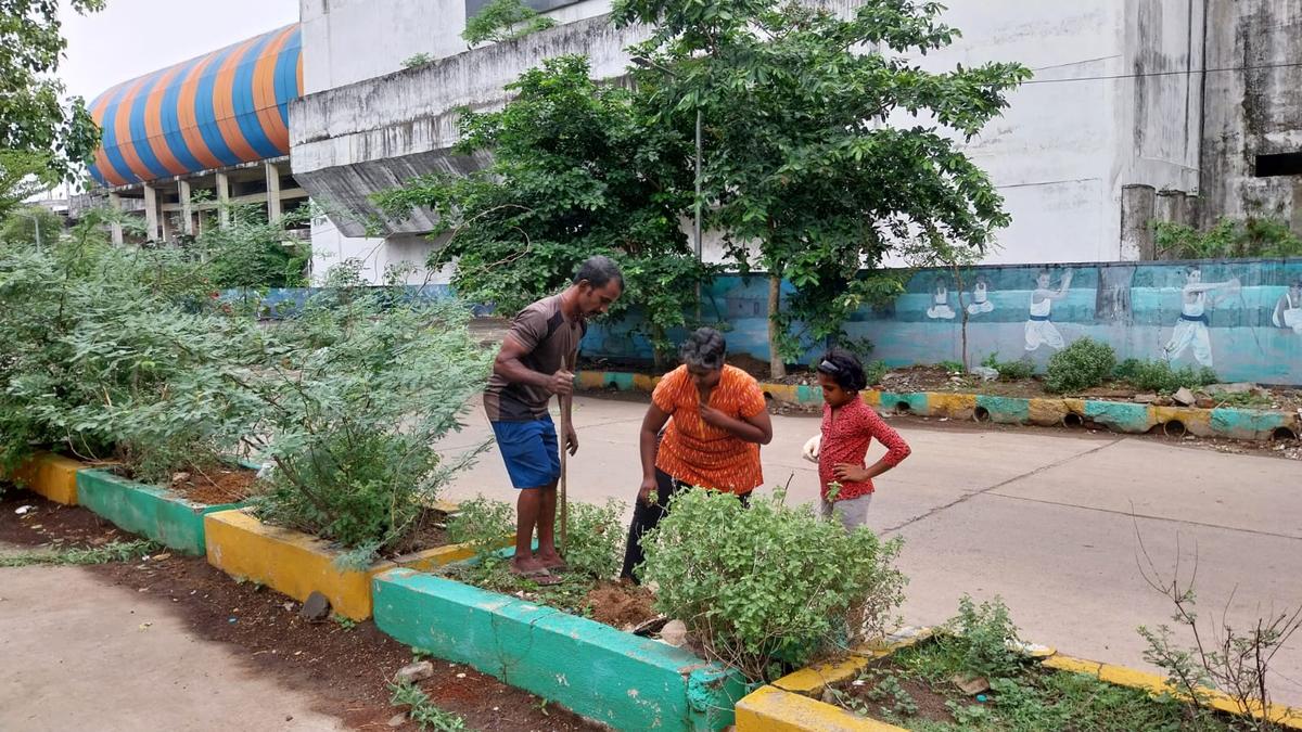 A tradition of individuals greening patches in Adyar