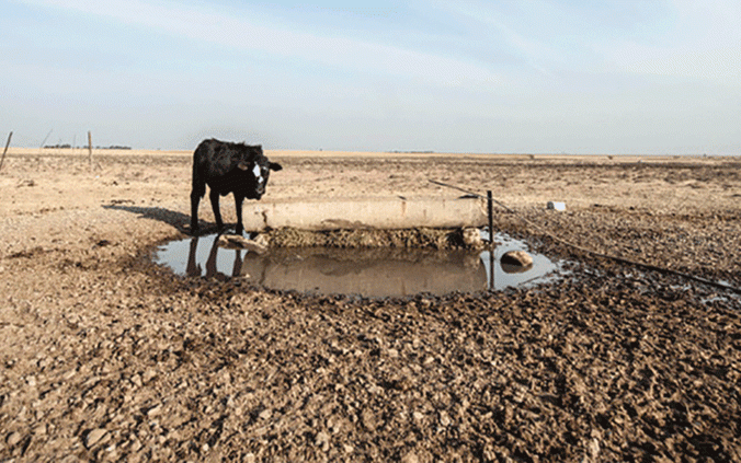 Village Rhapsody: Climate change: Why Africa must tell its story