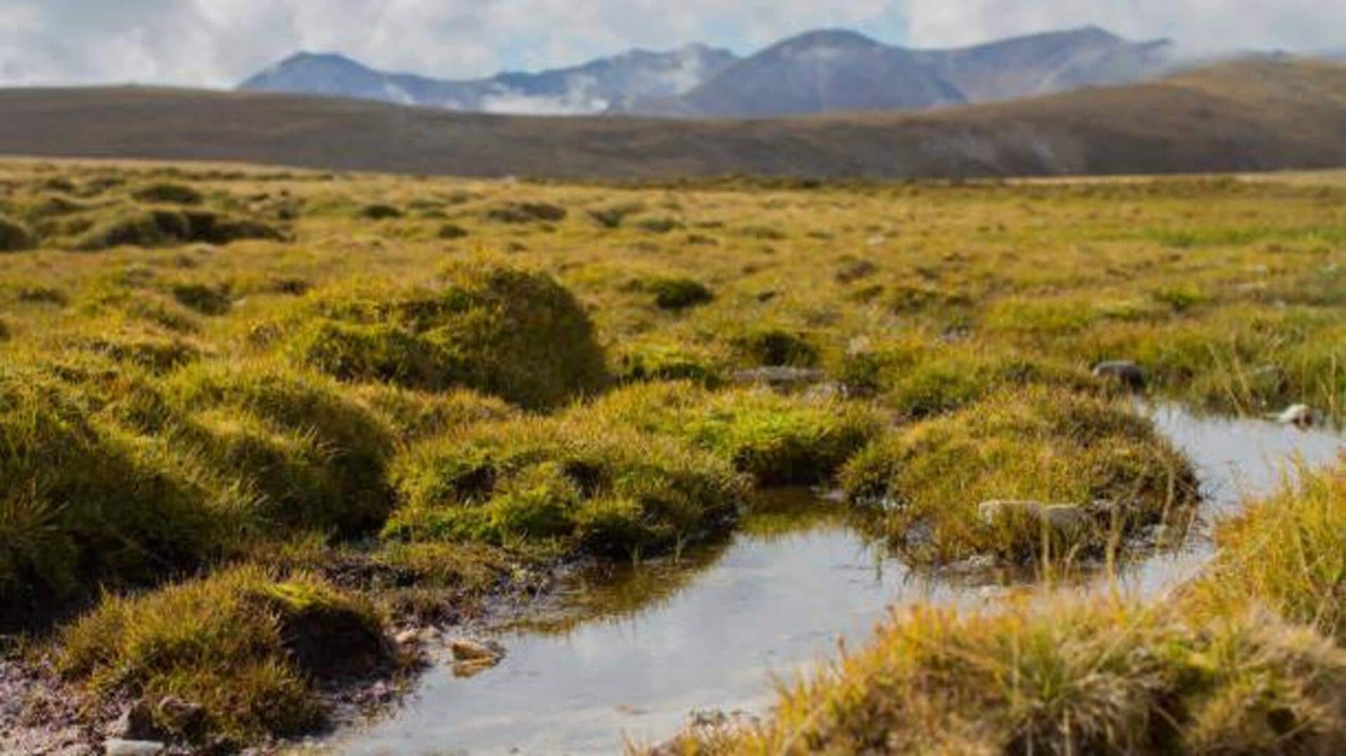 Off the beaten path: Wetlands worth exploring