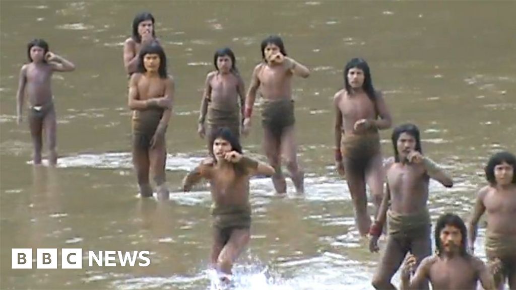 'Brothers in the forest' - the fight to protect an isolated Amazon tribe