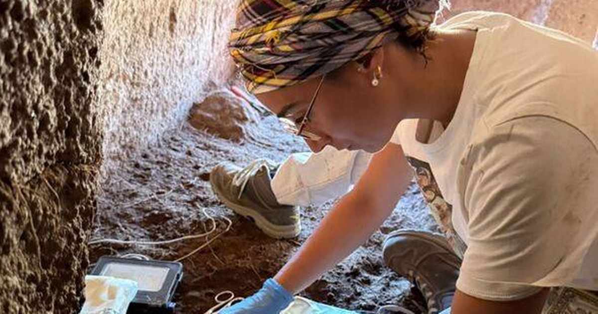 Huge breakthrough as three ancient 'fairy houses' found on hillside - The Mirror