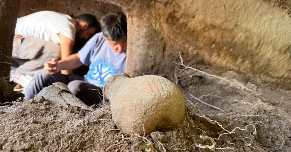 Confusion as ancient 'fairy houses' uncovered in 'excellent condition' on pic...