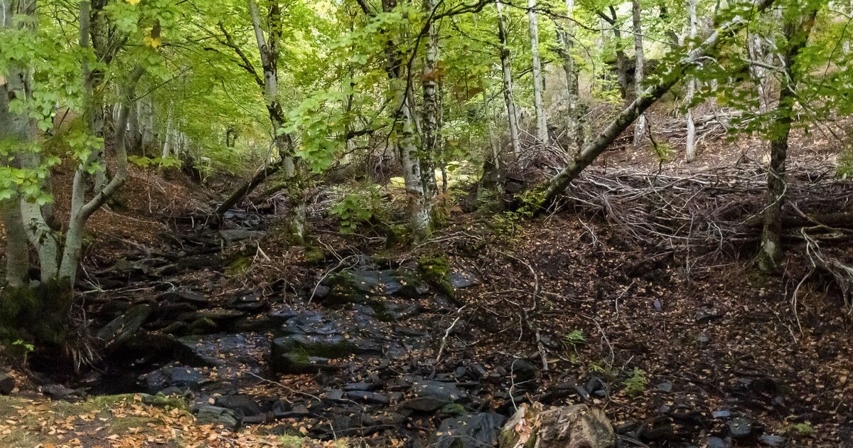 Man stunned by ancient finds after reading markings on 1850s map