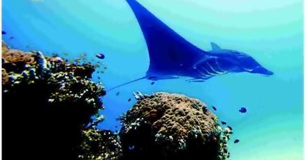 Preserving biospheres