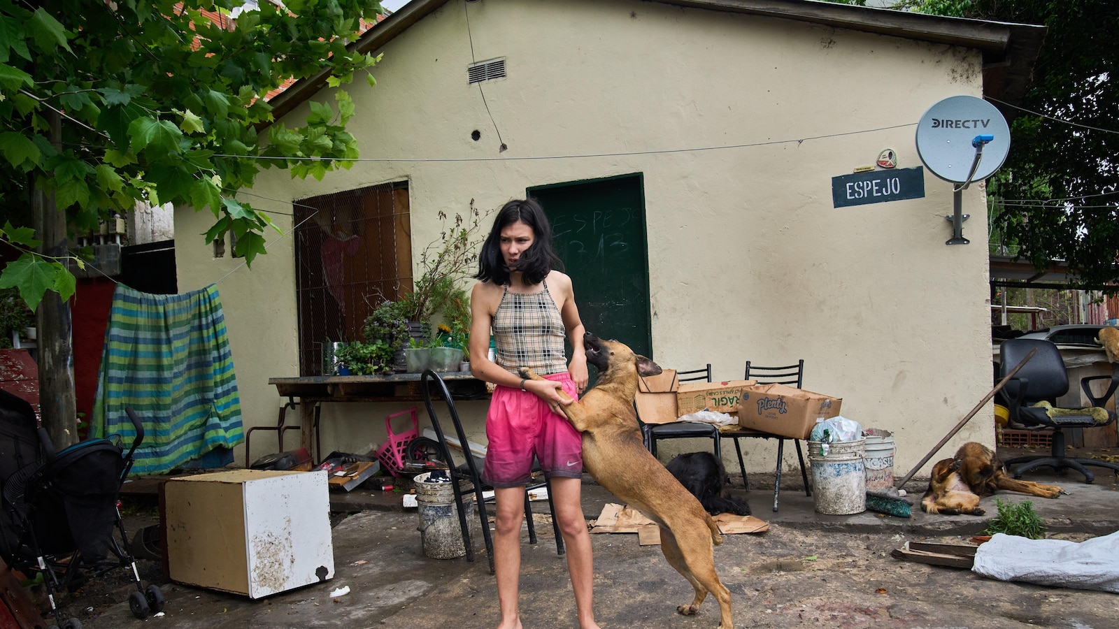 Argentina votes in midterm elections set to test President Milei's mandate and US support