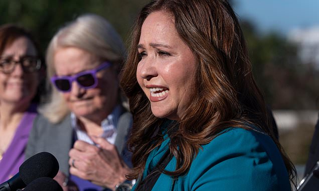 Lawsuit seeks to force swearing in of US Rep.-elect Adelita...