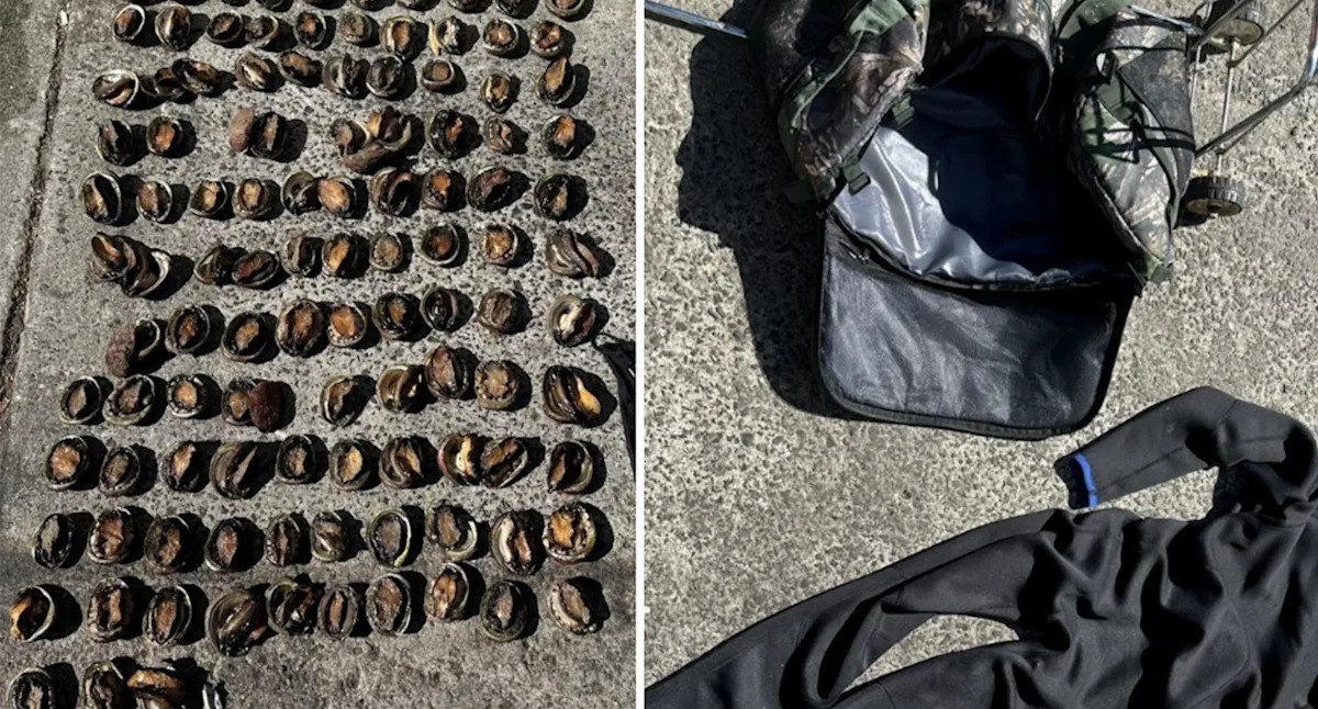 Aussie fisherman gets lifetime ban and $5,000 fine after illegal haul seized