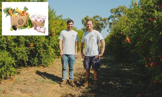 How Aussies are scoring farm-fresh produce CHEAPER than supermarkets