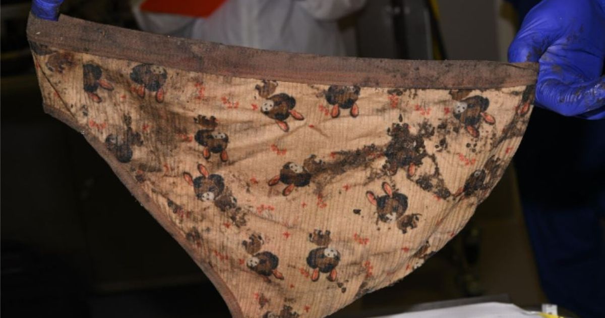 Detectives release new major clues in Baby Ava case after newborn girl found dead - The Mirror