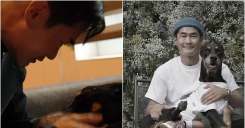 Bae Jung-nam Mourns Beloved Dog, Fans Hope for New Family