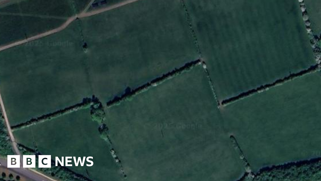 Plans for 220 homes and new school set for approval