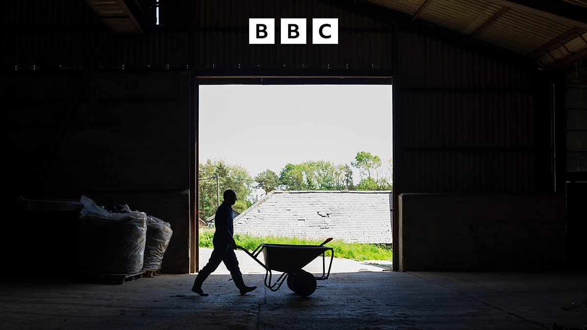BBC Radio 4 - File on 4 Investigates, Abused for Our Food