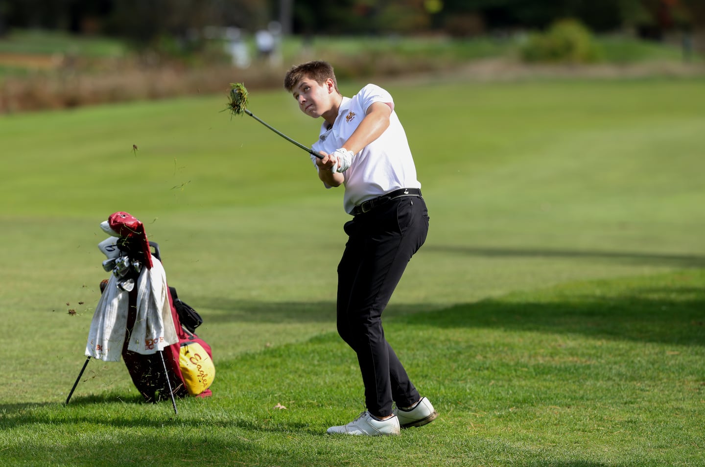 For BC High, Wilmington, Nashoba, and Monty Tech, going low meant hoisting golf trophies - The Boston Globe