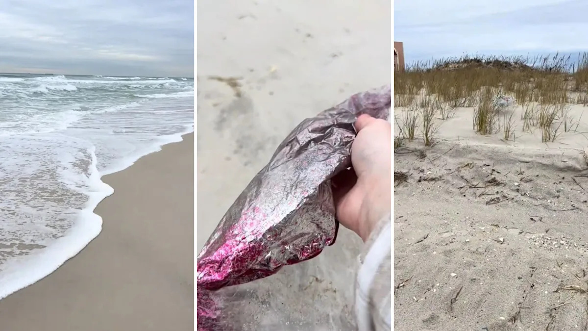 Beachgoer shares video of upsetting discoveries along shoreline: 'I'm seriously running out of hands here'