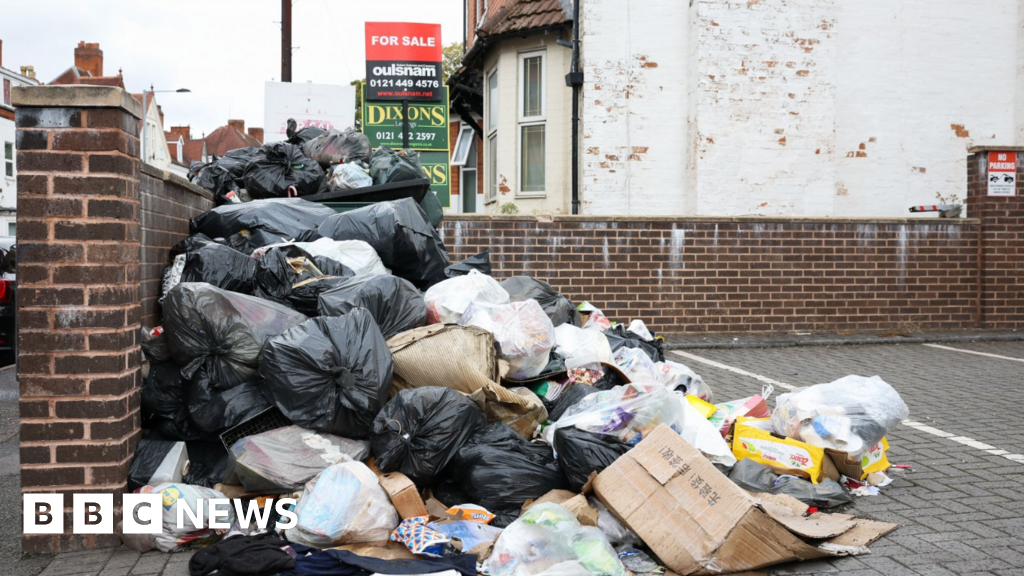 Birmingham bin agency workers balloted for strike action
