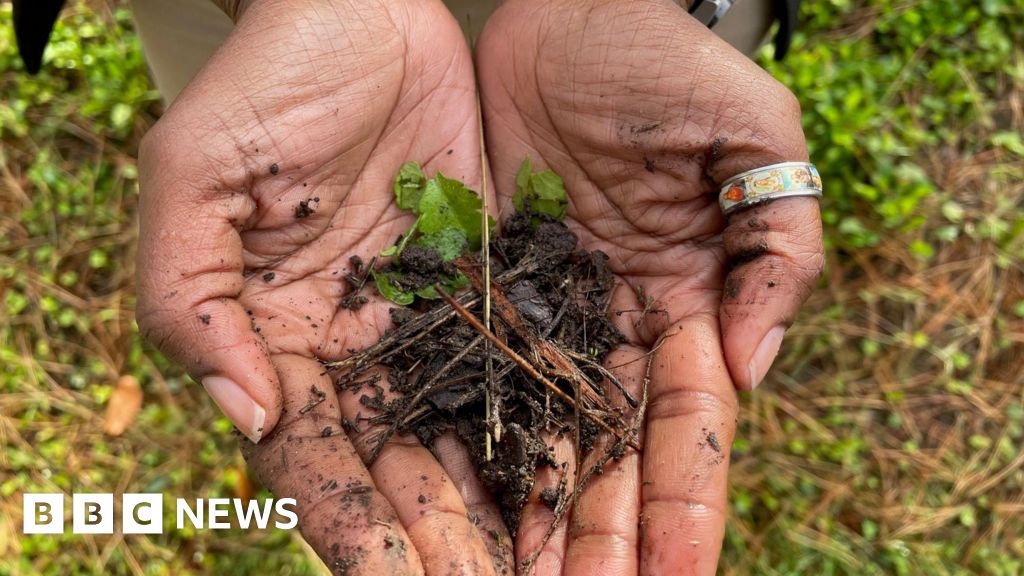 Deprived communities in Bradford 'miss out on health benefits'