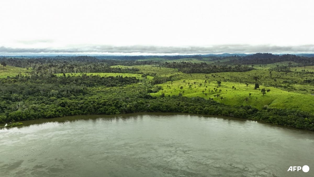 Brazil greenlights oil drilling in sensitive Amazon region