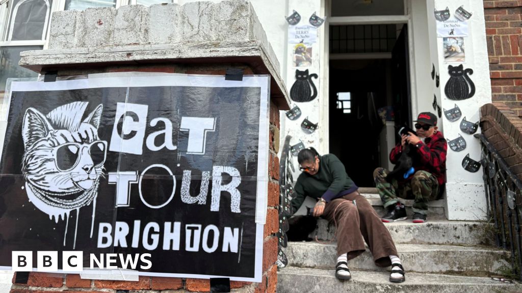 Feline fans on the prowl in Brighton cat tour