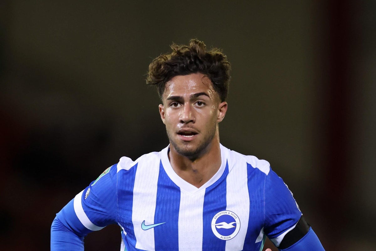 'No pressure' on Fabian Hurzeler to play Charalampos Kostoulas, says Brighton owner