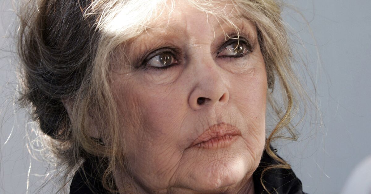 Brigitte Bardot health update after being rushed to hospital with 'serious illne