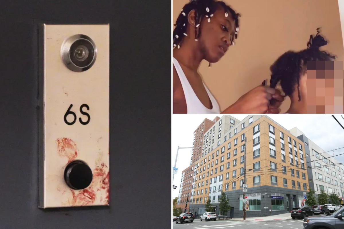 How NYC model fought to save child after brute plunged 'tool' so far...