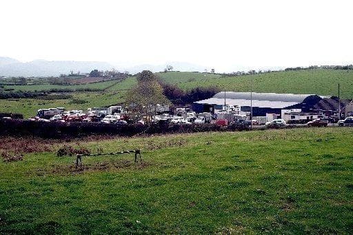 Bullocks selling to a top of £2620 at Rathfriland Co-op