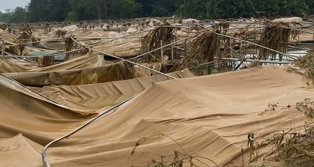 After the flood: Cao Bang races to rebuild shattered lives