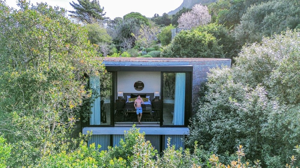 Elevated living in Cape Town's hidden forest retreat