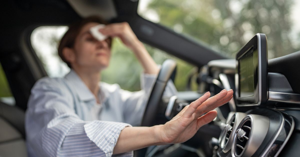 I'm a car expert - you should never touch this button in your vehicle - The Mirror
