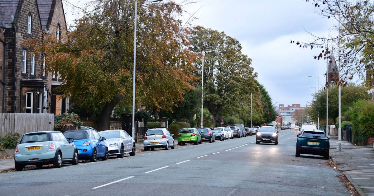Woman's horror as man jumps in back of car and starts 'stabbing like in a horror film' - Daily Star