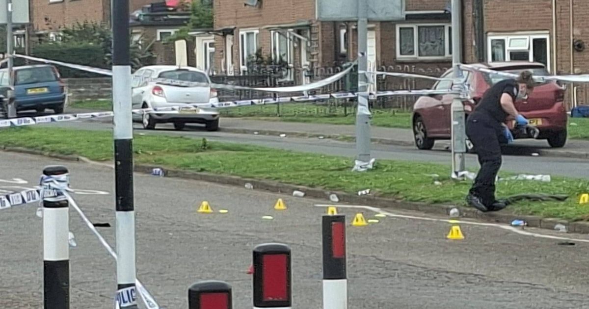 Cardiff woman dies weeks after being hit by car as 18-year-old charged with murder  - The Mirror