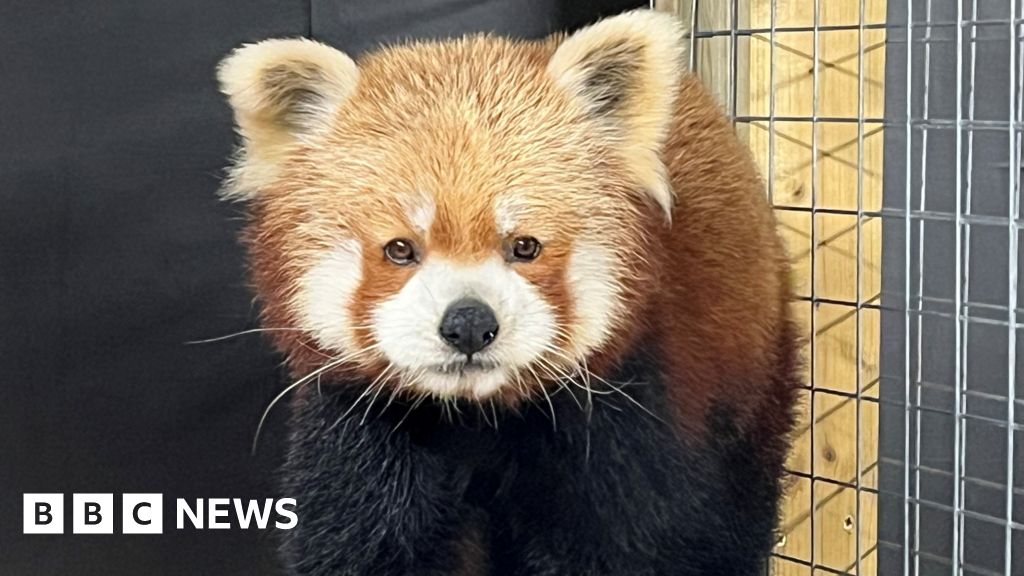 Cassiobury Farm and Fishery in Watford for sale at £2.75m