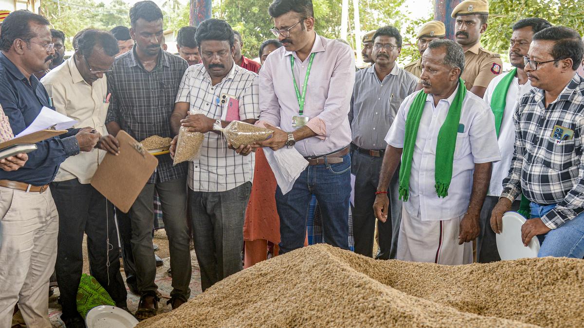Central teams assess paddy moisture level in Tiruchi, Pudukkottai, and Thanjavur