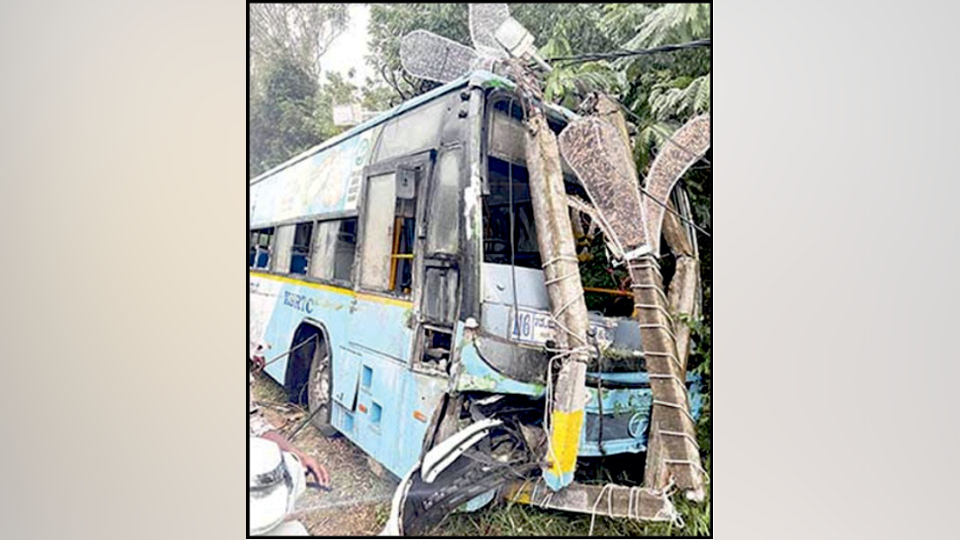 Musings on serial accident on Chamundi Hill Road - Star of Mysore