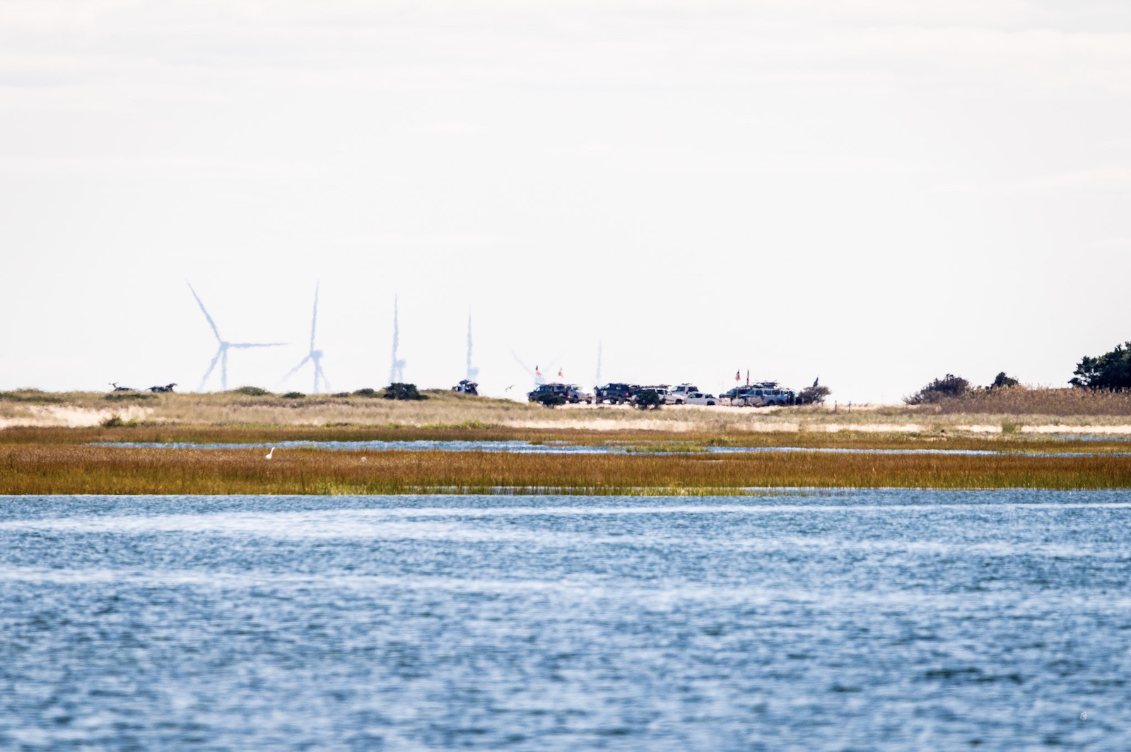 Looking to Untangle the Gridlock of Chappy Beach Access Rules