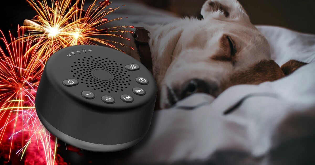 Simple appliance under £20 'helps dogs terrified by fireworks' on Bonfire night