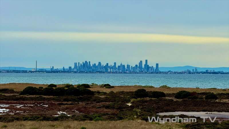 Cheetham Wetlands Near Global Listing
