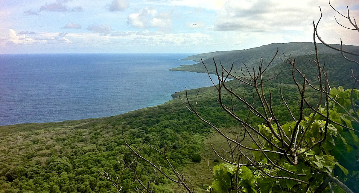 Sad update on 'little-known' Aussie animal