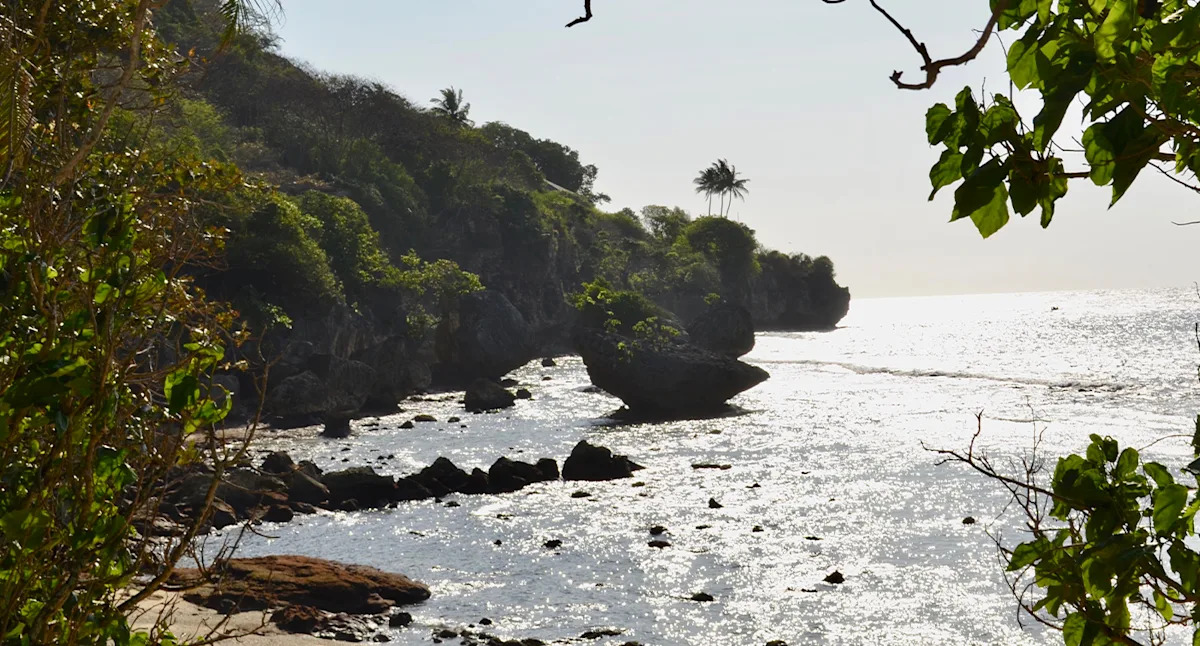 Australian island changed forever after after disastrous mistake: 'Could have done better'