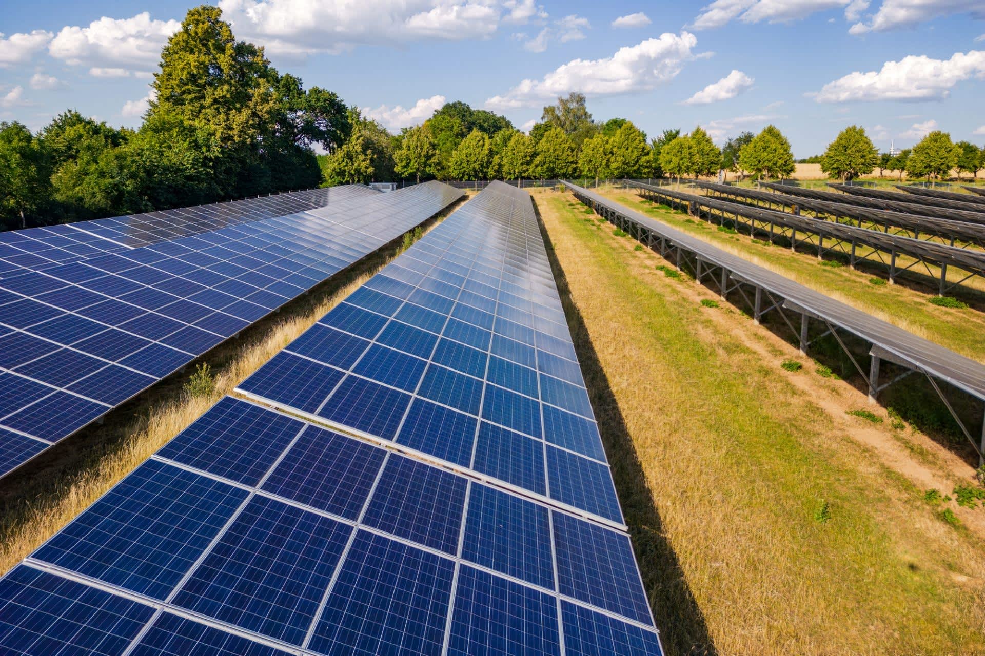 Officials switch on game-changing energy project that will unlock affordable power  --  here are the details