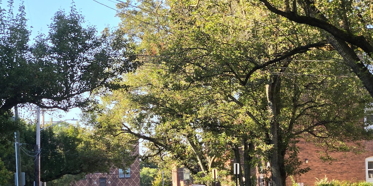 Little Italy neighborhood faces car break-ins again