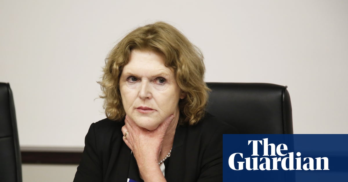 'It's a road to destruction': climate defenders facing surge in reprisals, says UN expert