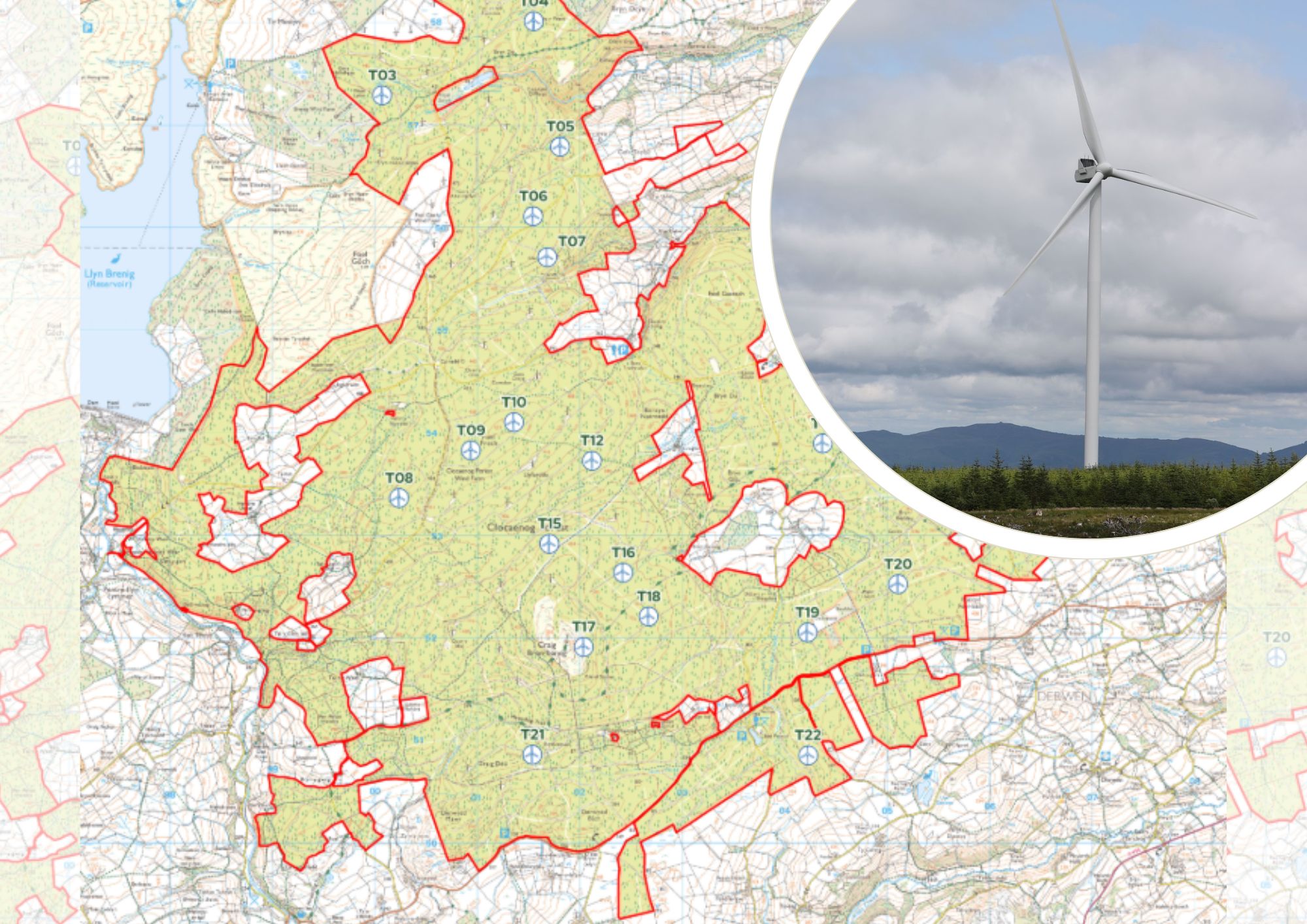 Residents divided over plans for 22-turbine wind farm in red squirrel forest