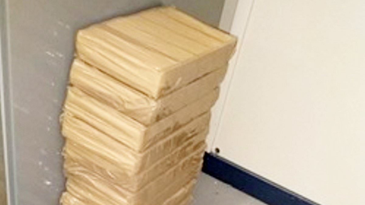 Gang who smuggled £68m worth of cocaine in gas bottles jailed