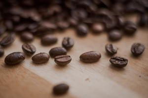 New way to fight climate change using coffee | Fox 11 Tri Cities Fox 41 Yakima