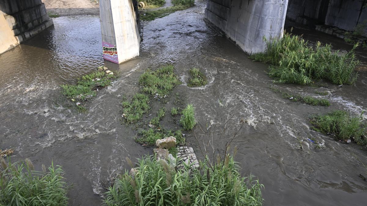 Coimbatore Corporation urged to convene consultative meeting with farmers on ₹200-crore Noyyal rejuvenation project