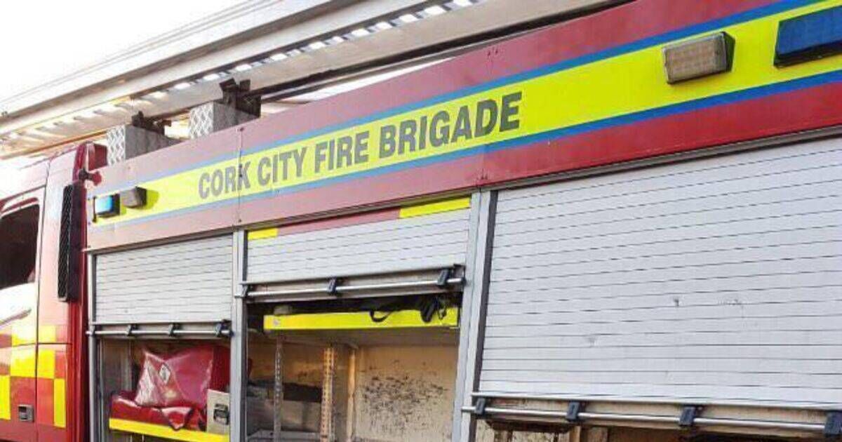 Cork shopping centre evacuated after car engine catches fire